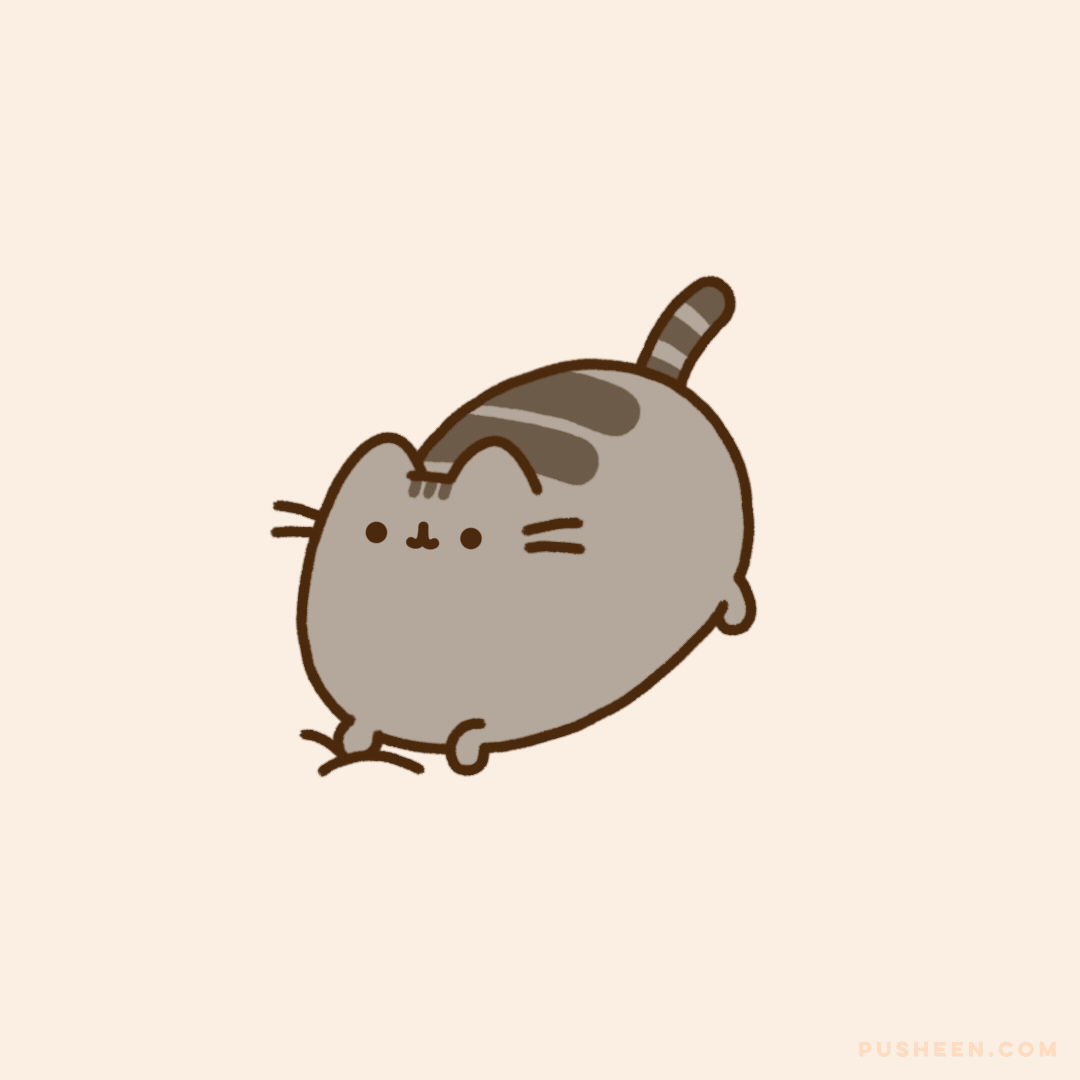 DJ Pusheen